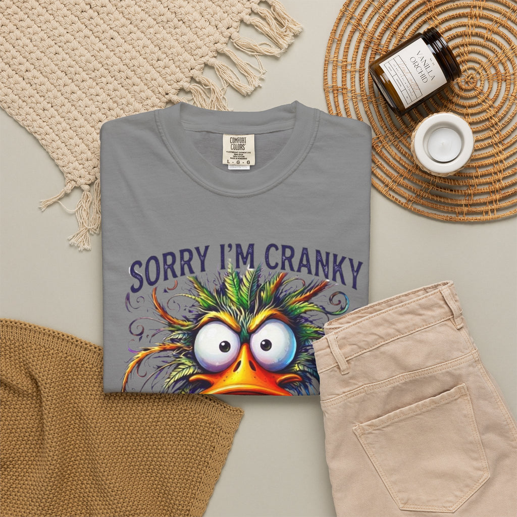 Funny Sorry Im Cranky 50s Birthday T-Shirt