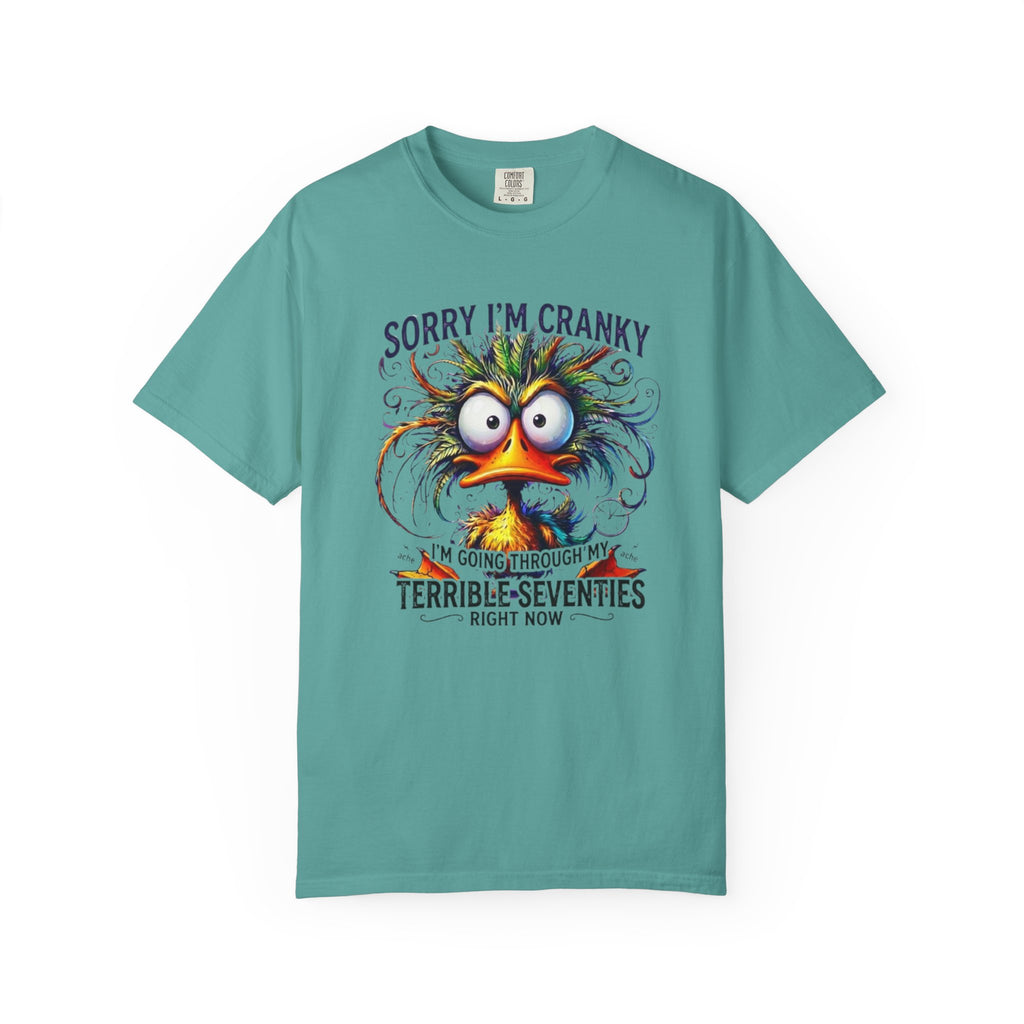 Cranky Terrible Seventies Graphic T Shirt Funny 70s Midlife Birthday Tee