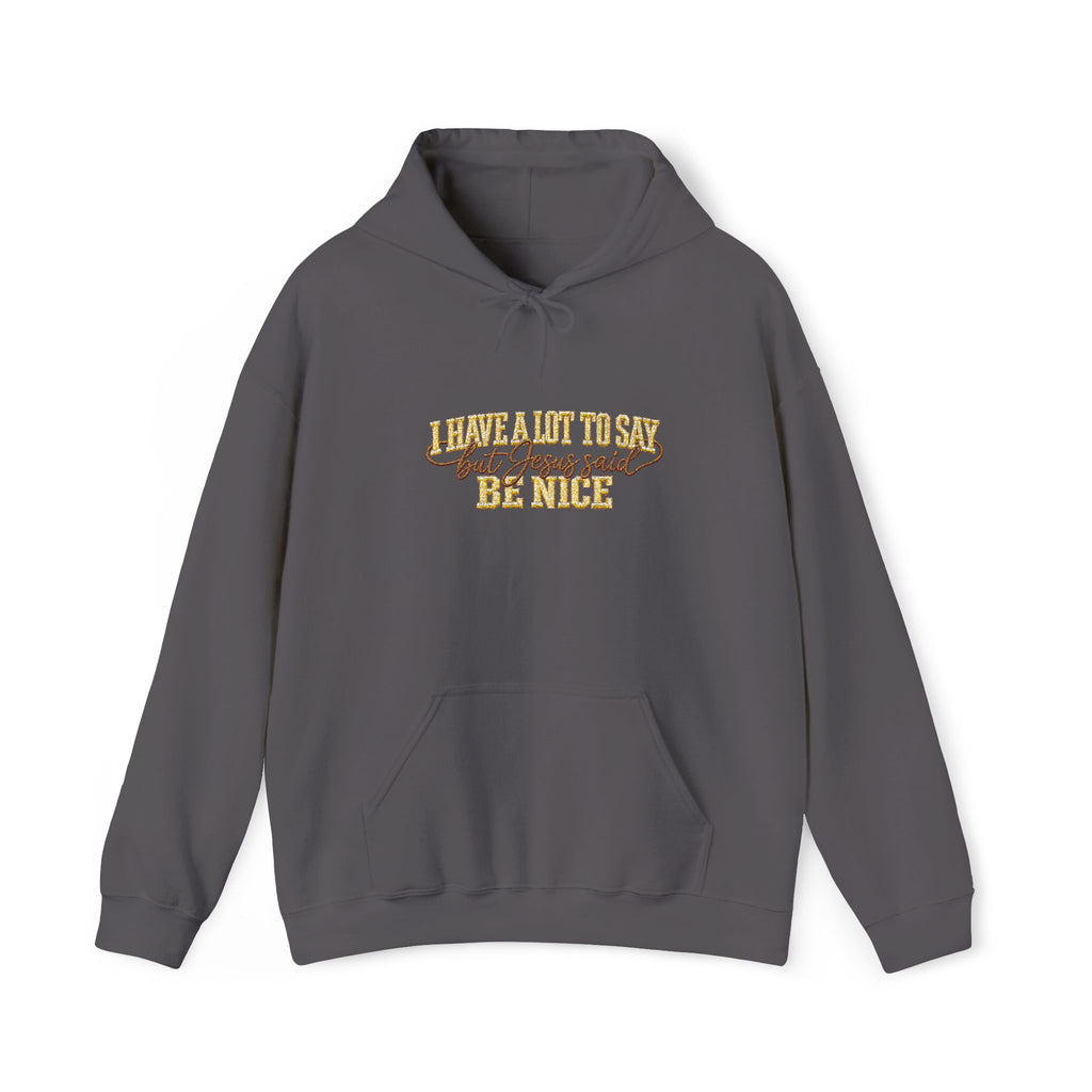 I Have a Lot to Say But Jesus Said Be Nice Embroidered Hoodie, Funny Christian Sweatshirt, Faith Based Gift for Women, Jesus Saying