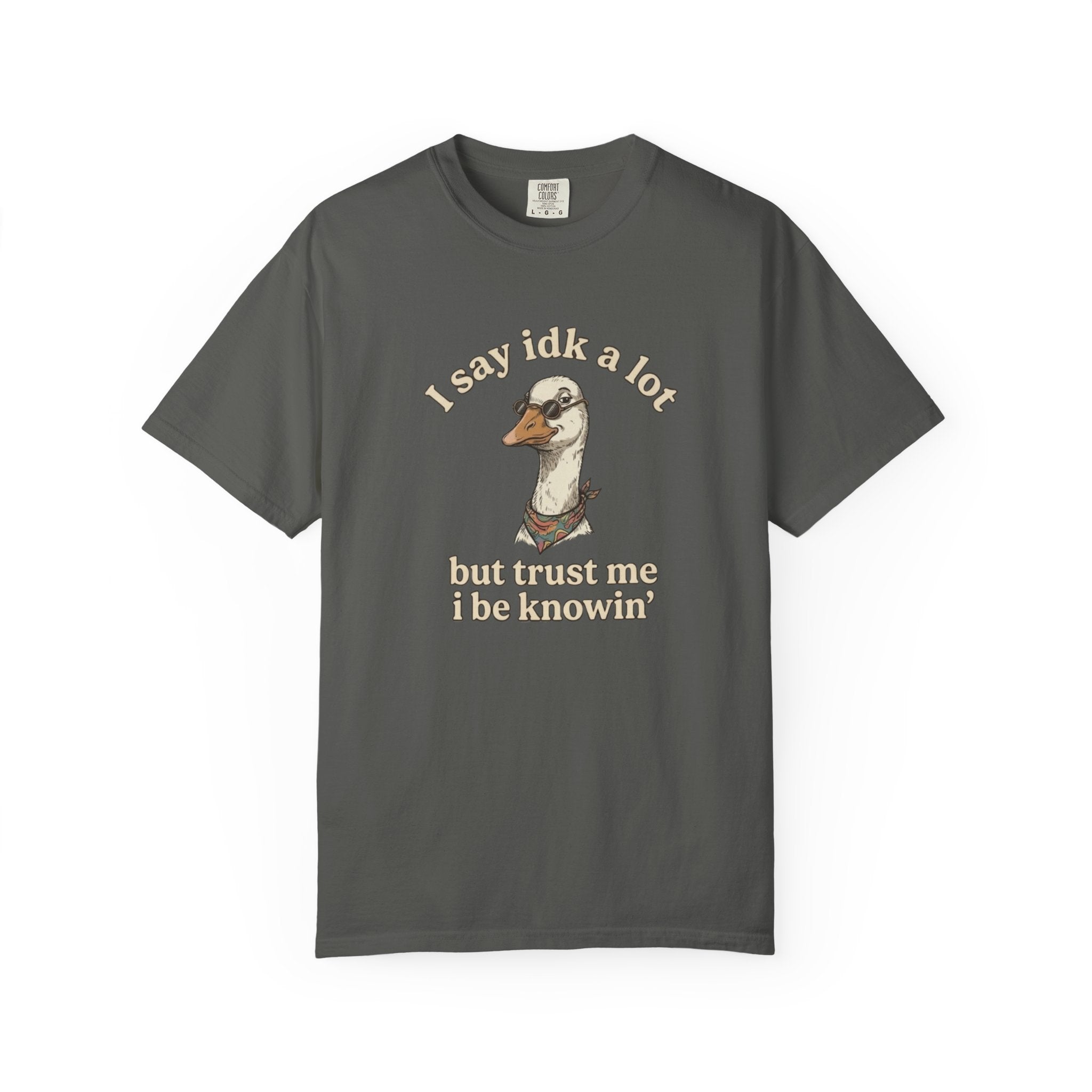 Funny Goose T Shirt Say Idk a Lot But Trust Me I Be knowin Graphic Tee