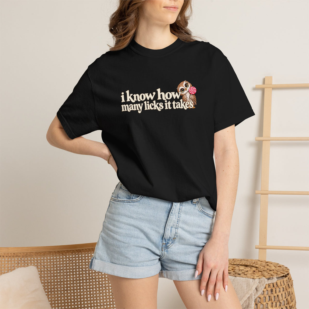 I Know How Many Licks It Takes Shirt, Funny Owl Tee, Sarcastic Adult Humor T-Shirt, Cheeky Graphic Tee, Comfort Colors Gift