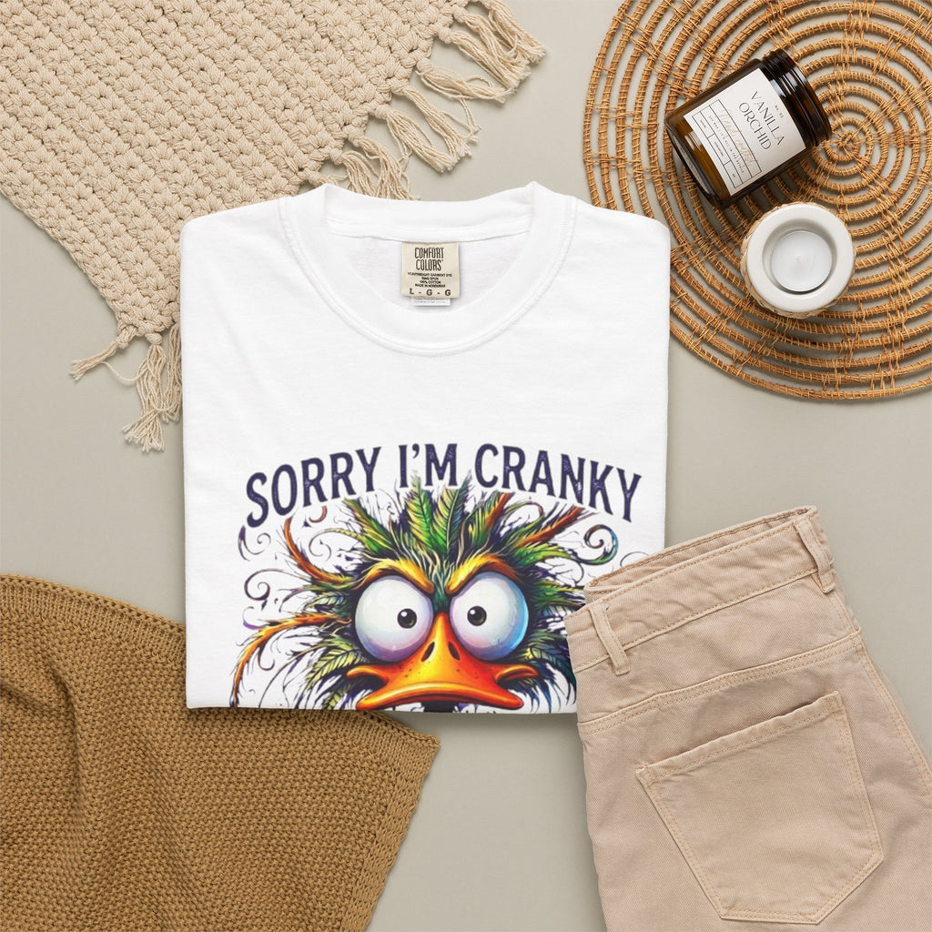 Funny Sorry Im Cranky Going Through My Terrible Sixties T Shirt