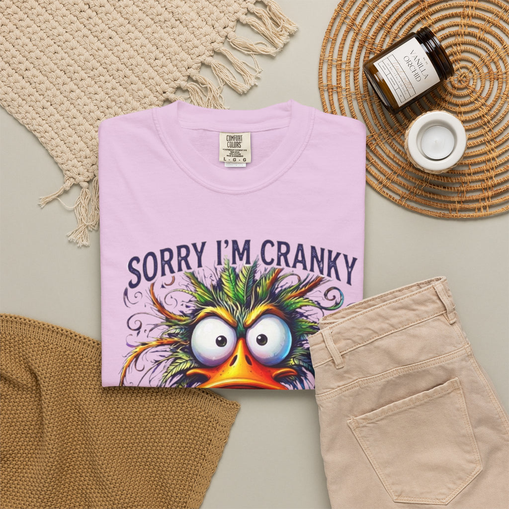Funny Sorry Im Cranky 50s Birthday T-Shirt