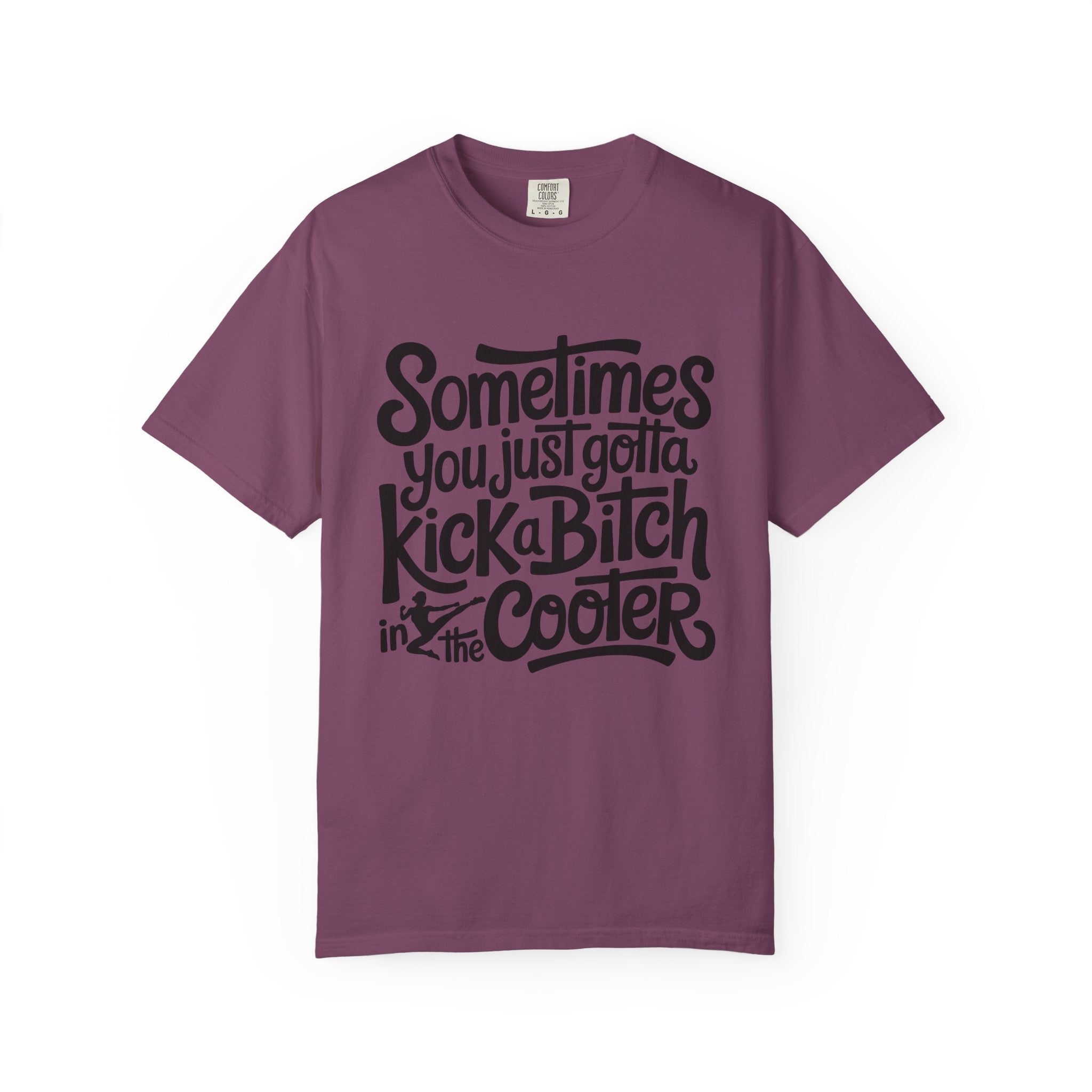 Sometimes You Just Gotta Kick a Bitch In the Cooler T Shirt