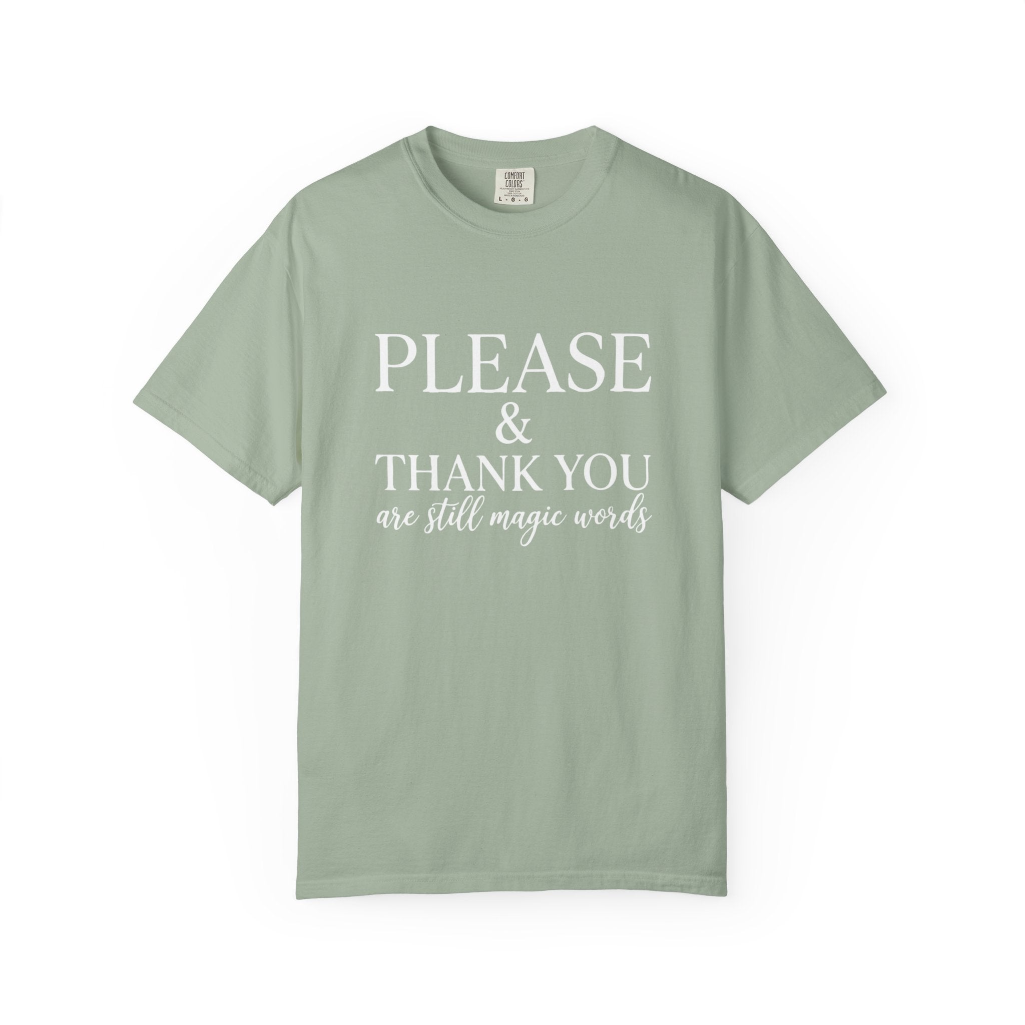 Please and Thank You T‑Shirt Please and Thank You are still magic words Graphic Tee